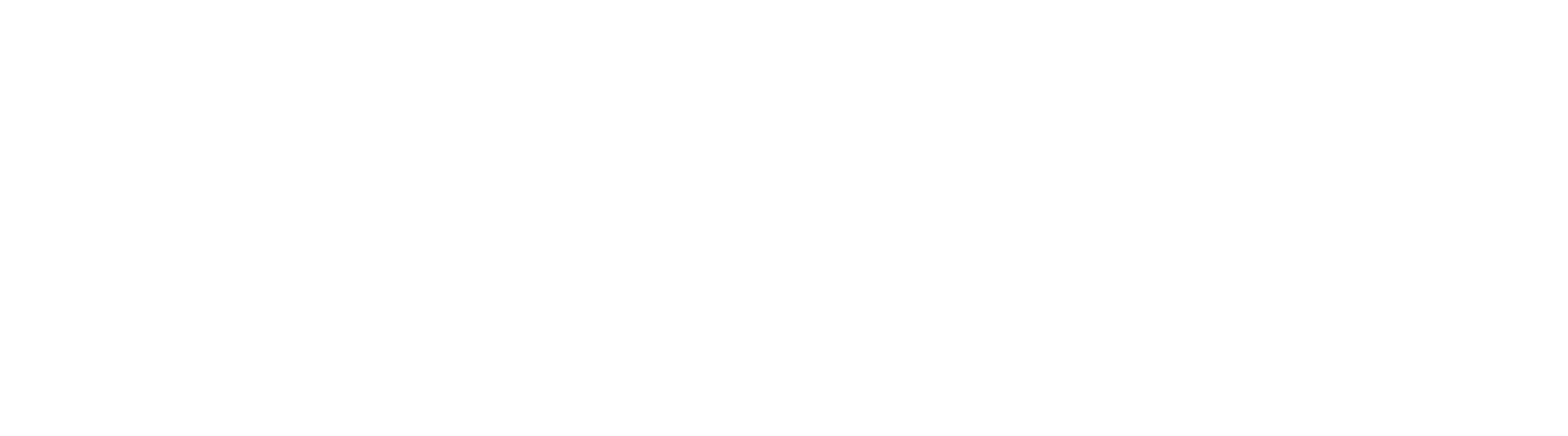 ES Financiado por la Unión Europea_WHITE Outline